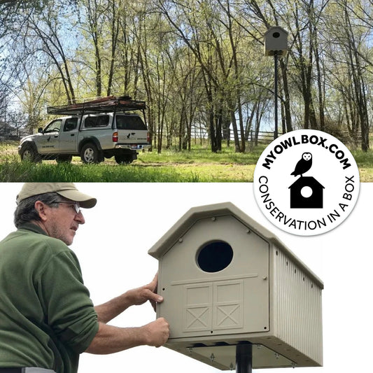 Nature's Remedy Owl Barn with Hardware and Installation