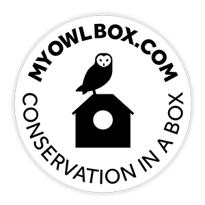 my-owl-box